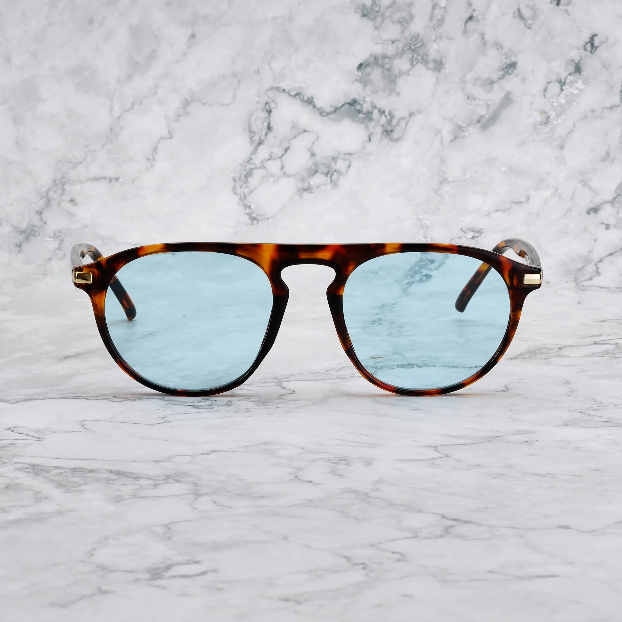 CARTER TORTOISE
