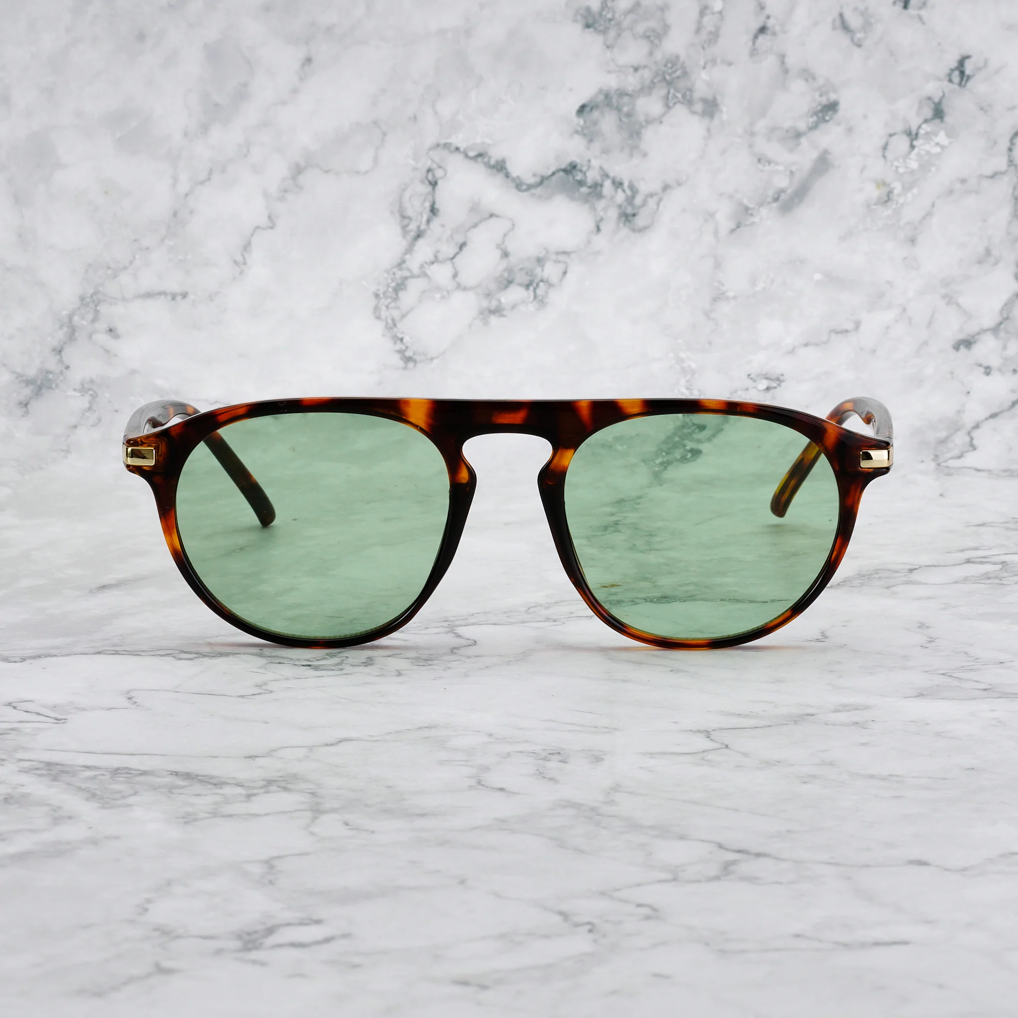 CARTER TORTOISE - Image 13