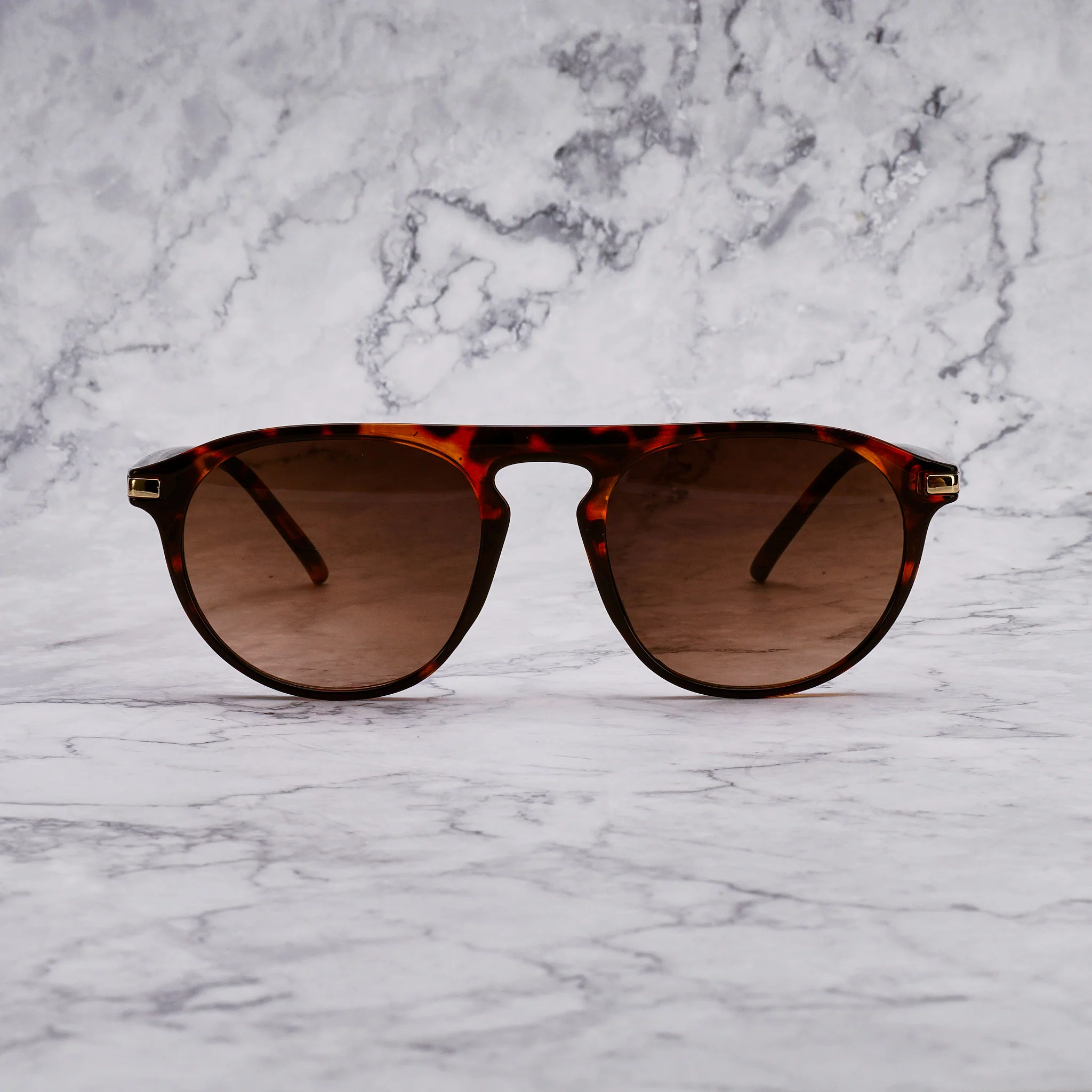 CARTER TORTOISE - Image 21