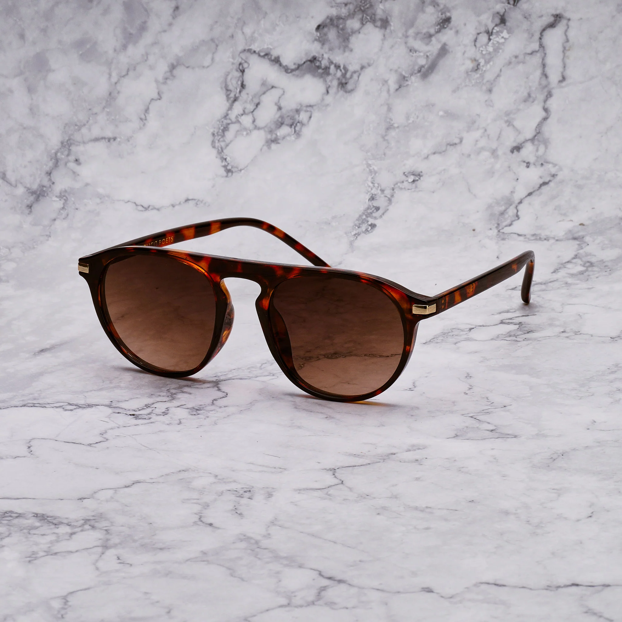 CARTER TORTOISE - Image 22